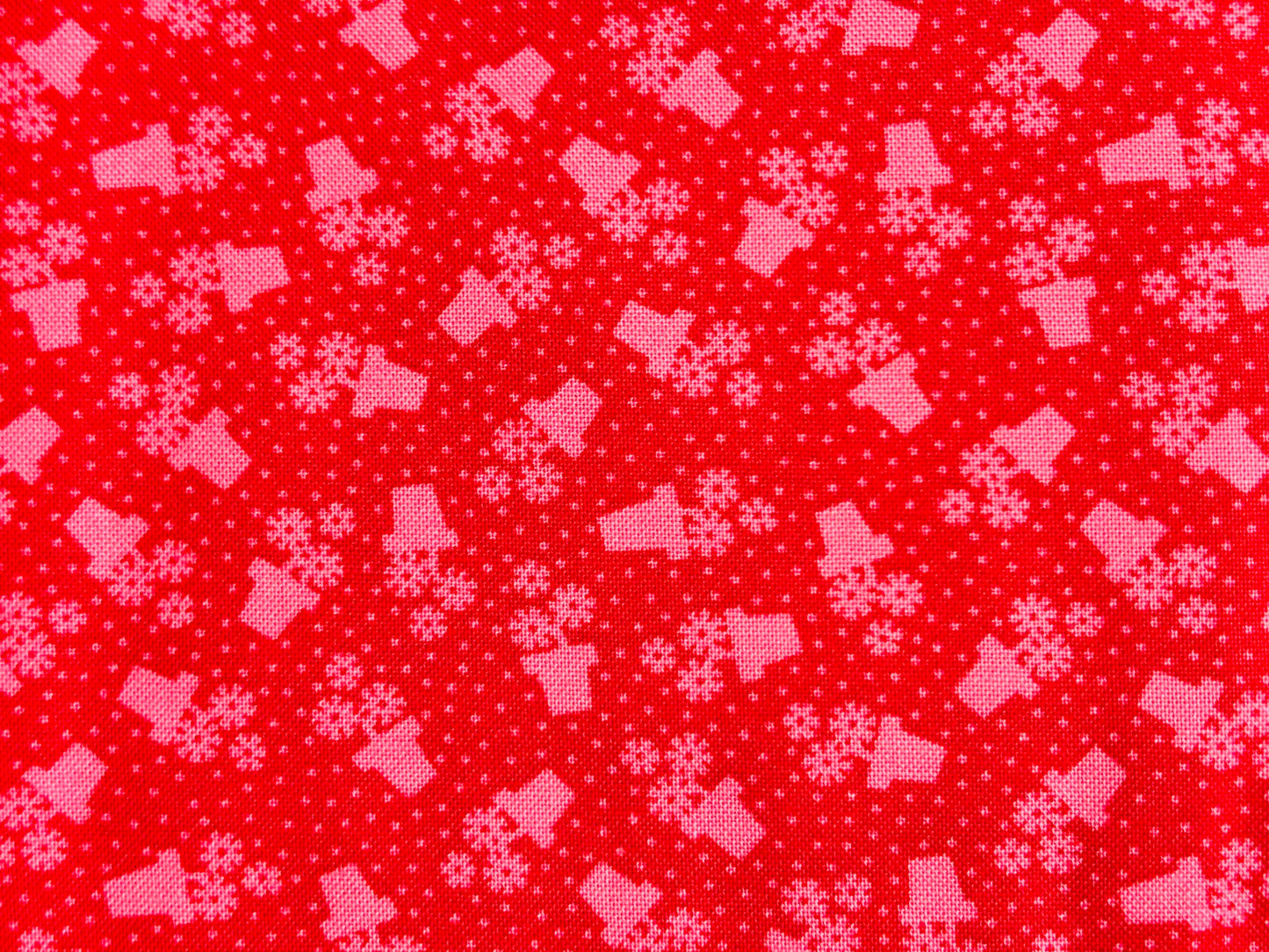 SWEET THINGS , MACETAS FLORES ROJO