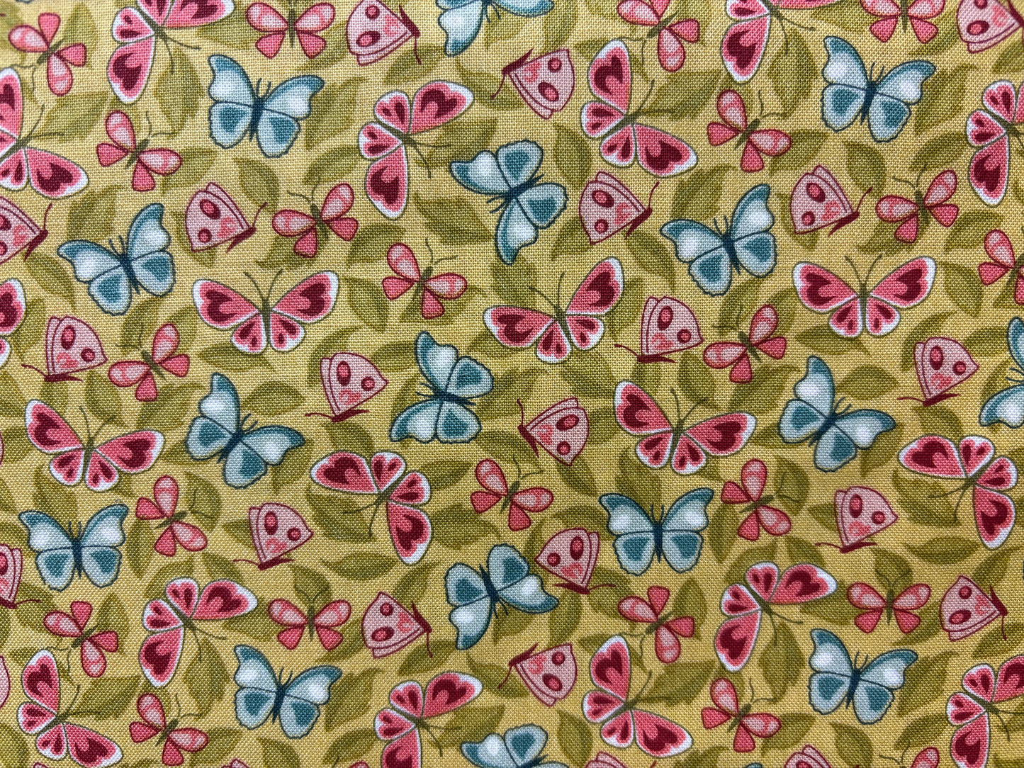 BACK AND FORTH mariposas fondo verde