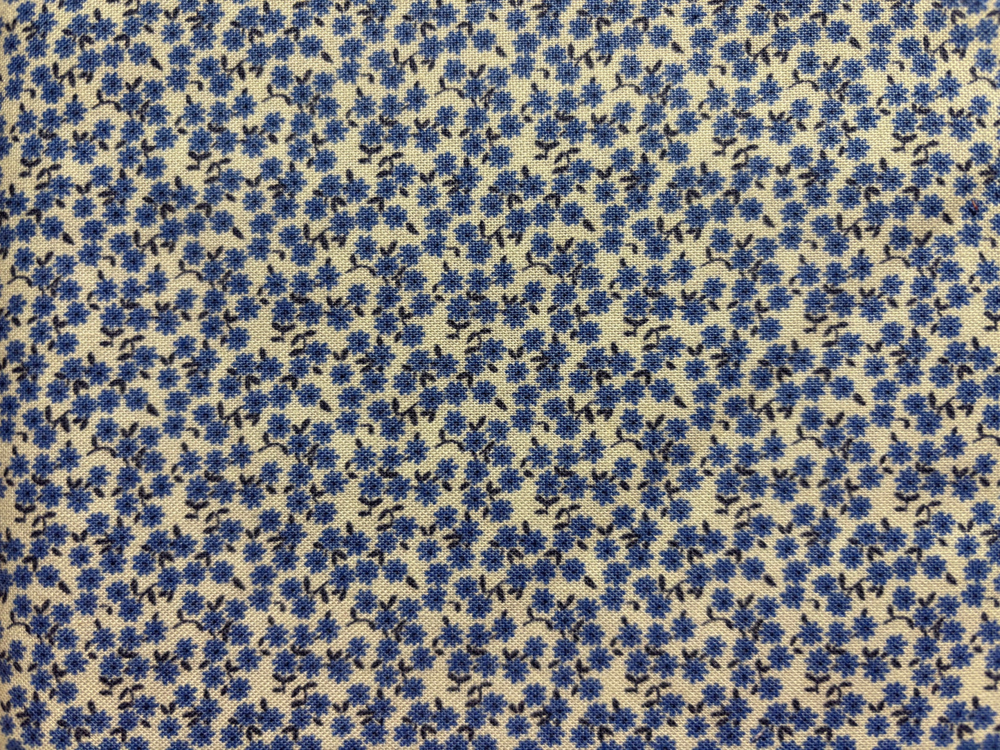 COLECCION FLORAL flores azul