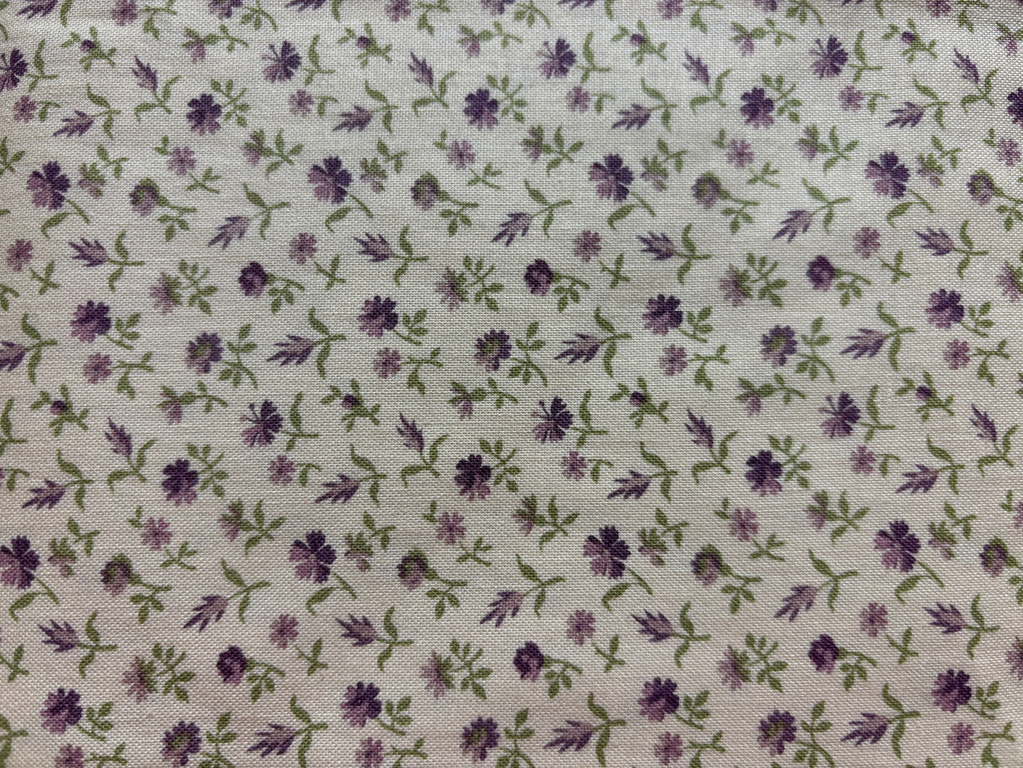 PURPLE PASSION fondo blanco flor pequeña purpura