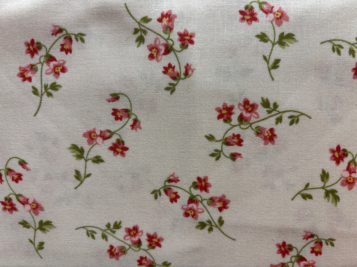 100 YEARS fondo blanco flor rosa