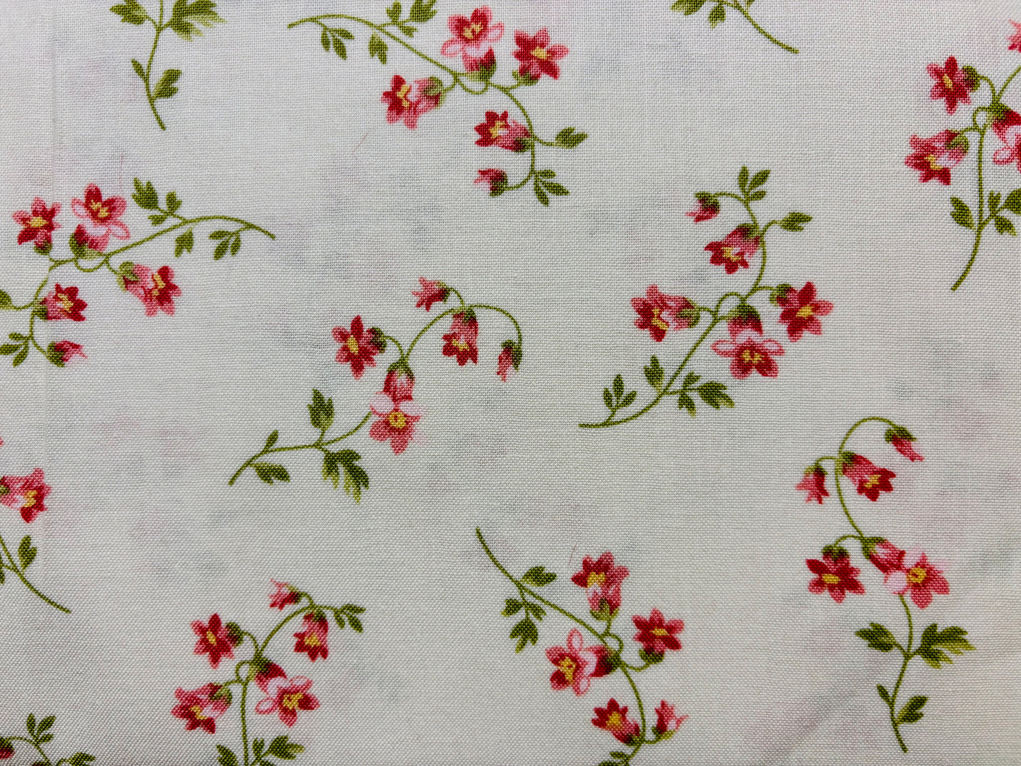100 YEARS flores fondo tostado