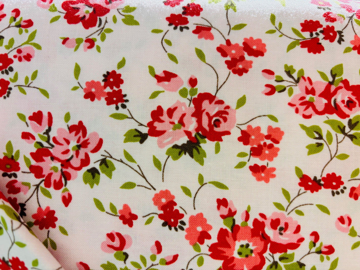 PIROUETTE BY VERNA MOSQUERA fondo blanco con flores rosa y rojo