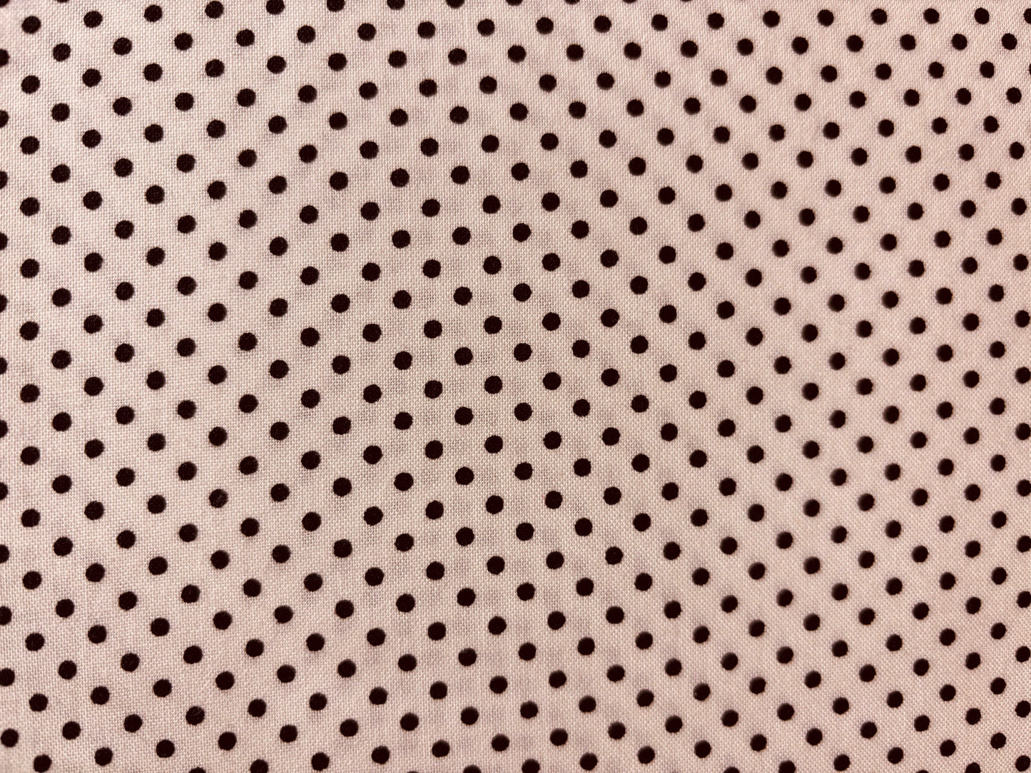 THE HENLEY STUDIO fondo beige lunar negro
