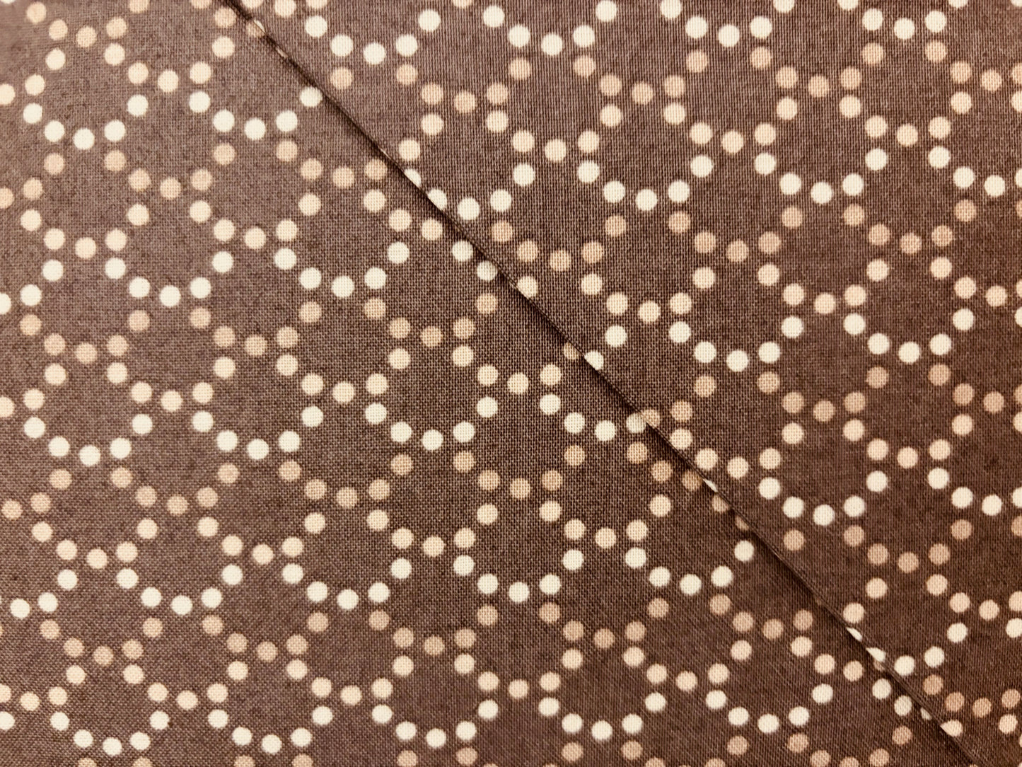 STUDIO 8 FOR QUILTING TREASURES fondo marron oscuro lunares tonos marrones