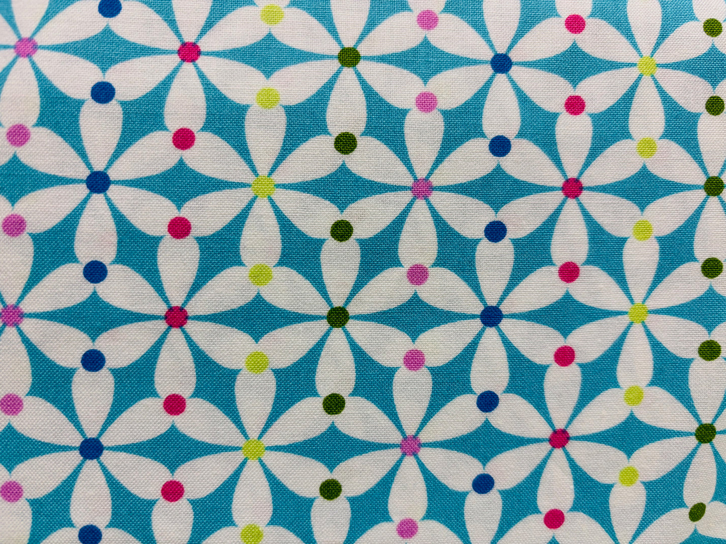 SUMMERSAULT, ERIN MCMORRIS fondo azul claro, flor blanca lunares de colores