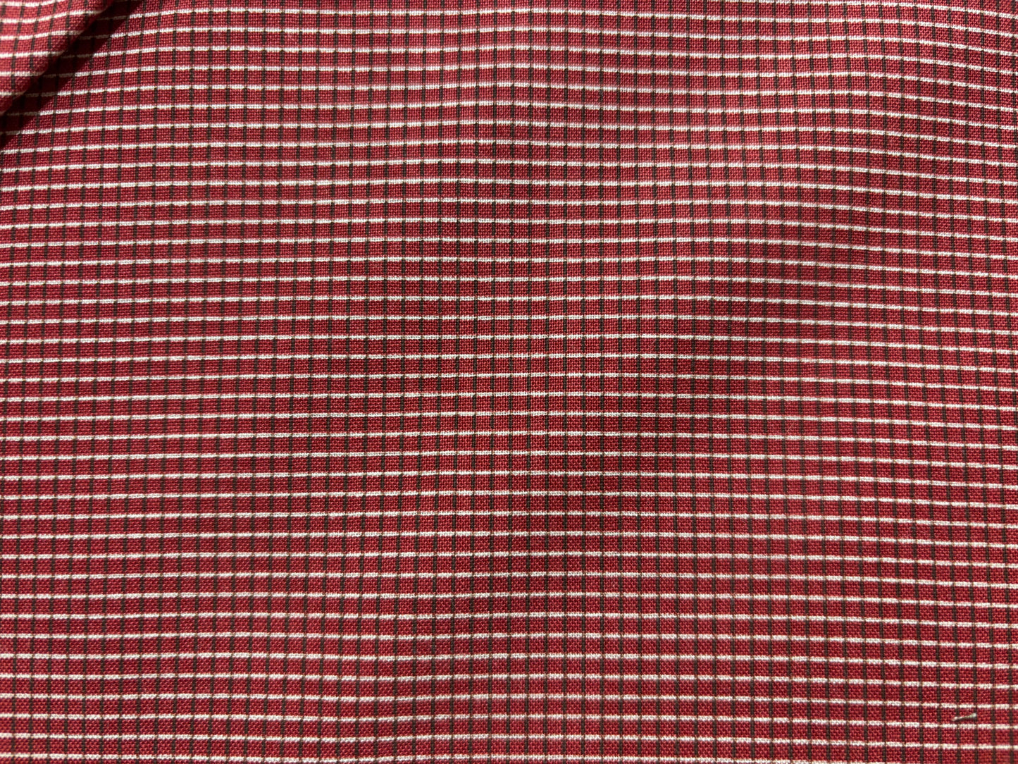 REPRO REDS fondo granate cuadro