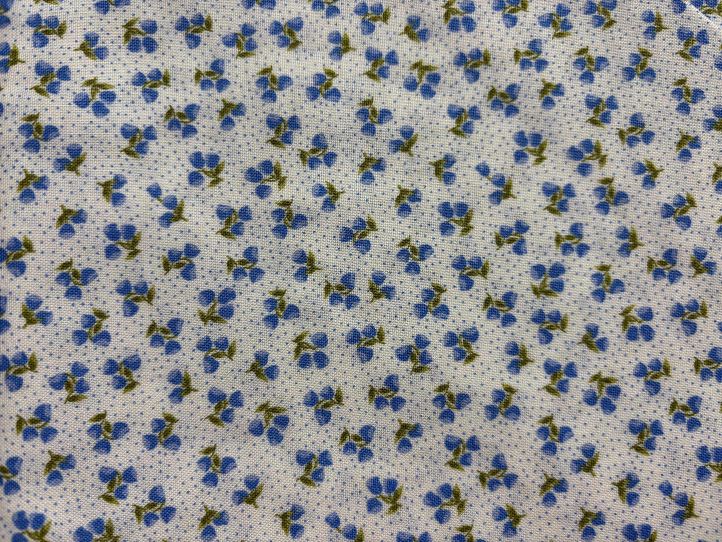 COLECCION FLORAL flor azul