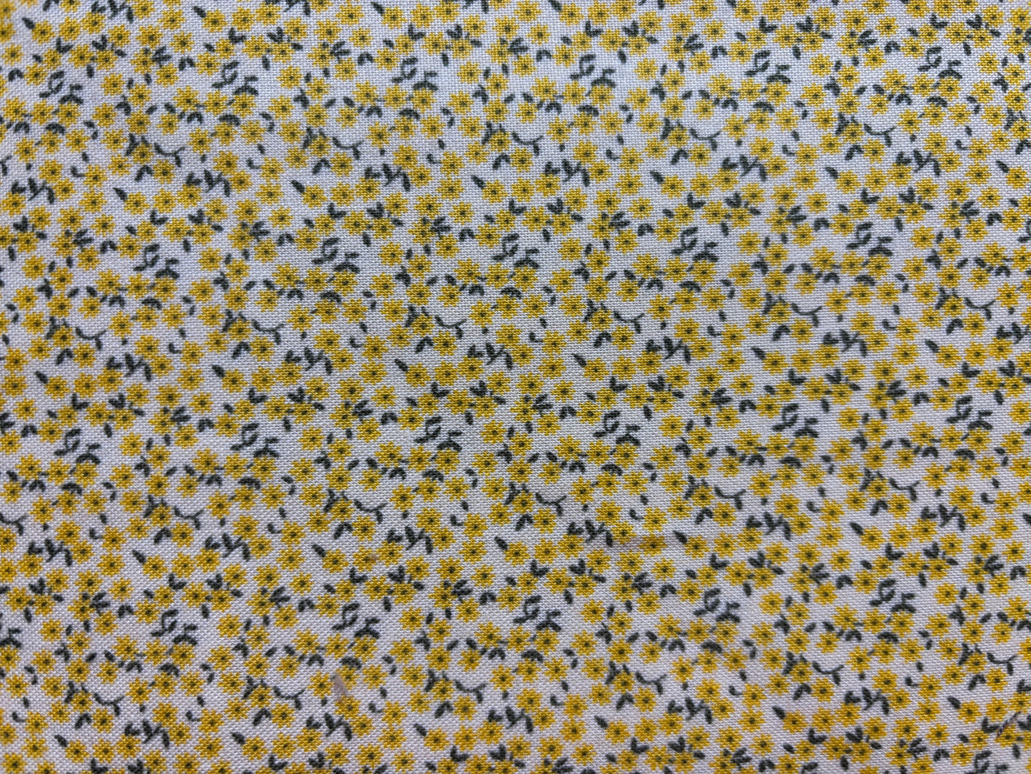 COLECCION FLORAL flor amarilla