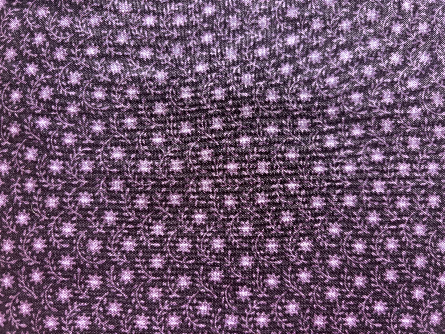 PURPLE PASSION  flor con hoja morado