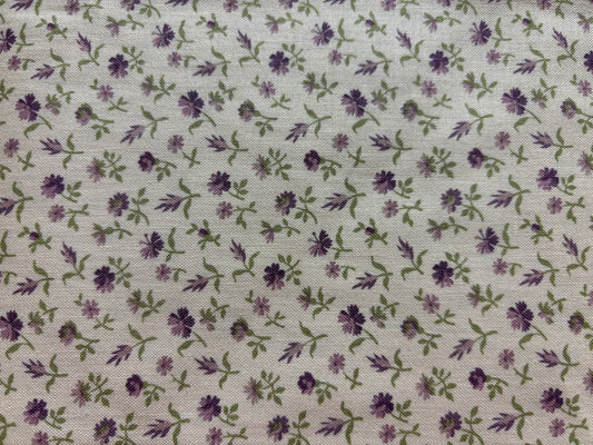 PURPLE PASSION fondo blanco flor pequeña purpura
