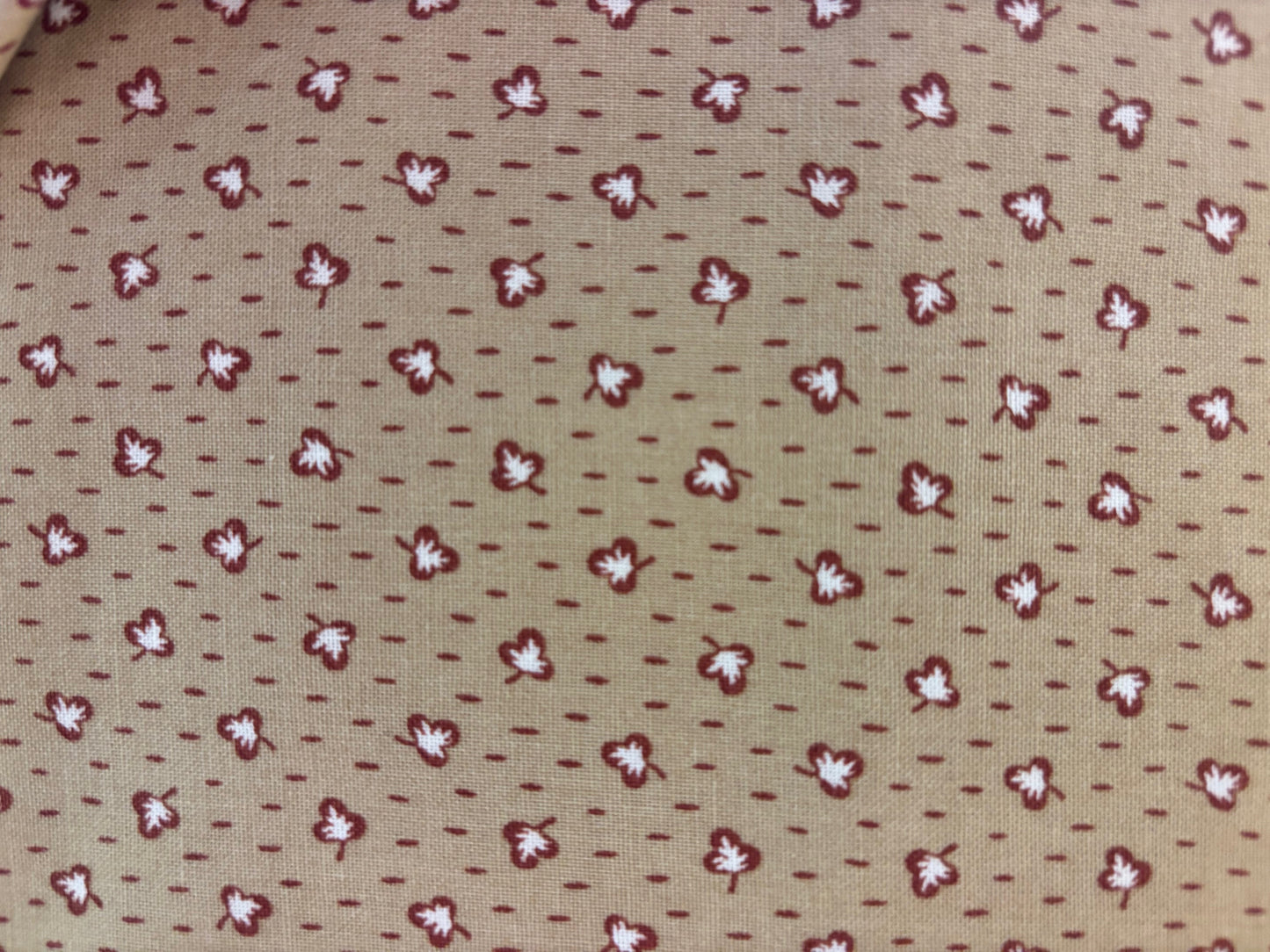 REPRO REDS fondo topo con hojas