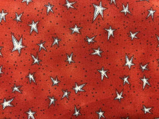 IL NOSTRO NATALE estrellas granate