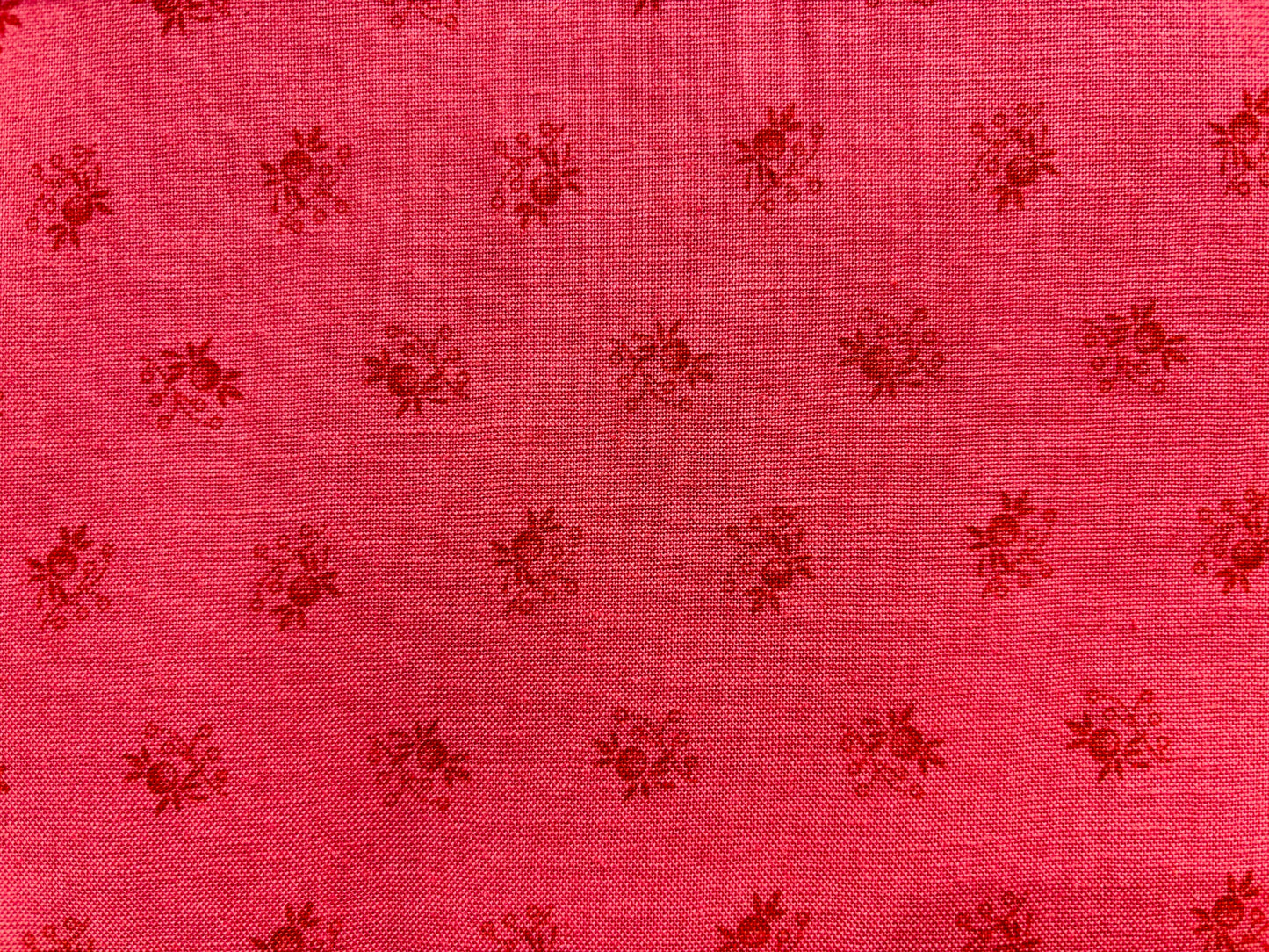 REPRO REDS  flores fondo rojo