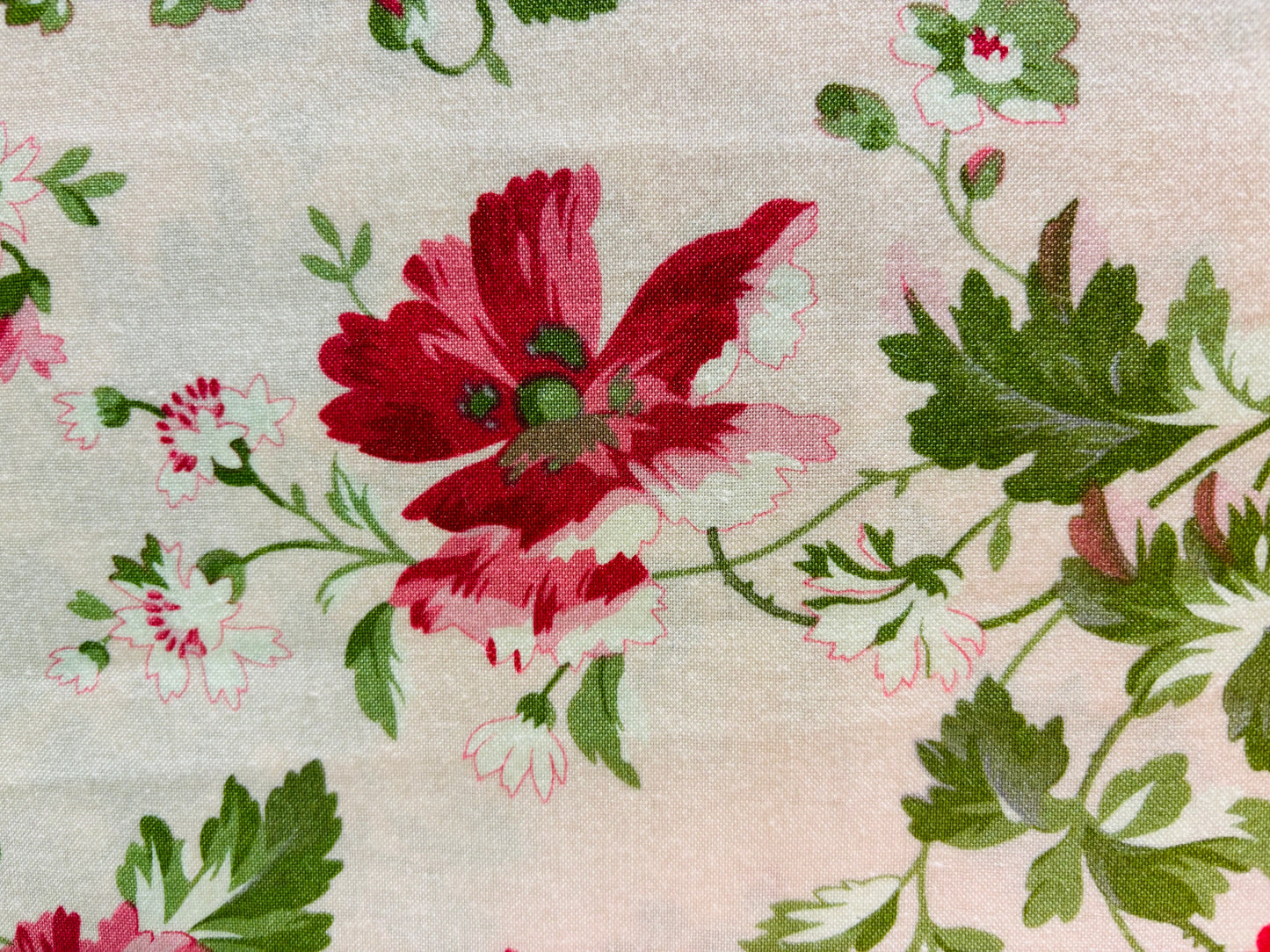 HEAVENLY PEACE BY VERNA MOSQUERA  flor fondo rosa claro