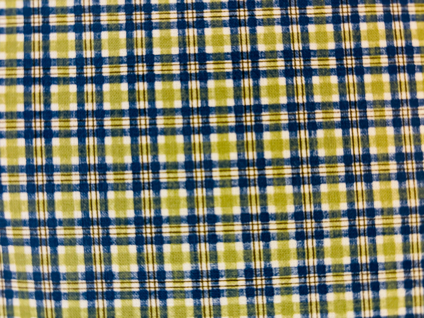 DEAR JANE BY BRENDA PAPADAKIS cuadro azul y verde