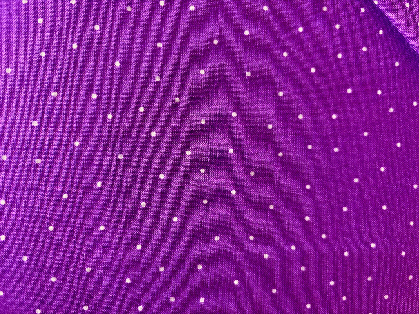 ESSENTIALS WILMINGTON PRINTS  fondo morado lunares