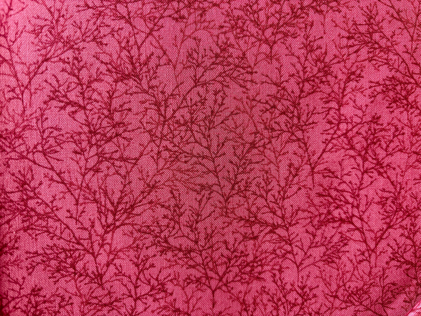 COLOUR HARMONY BY SOFFABRICS  hojas fondo fucsia