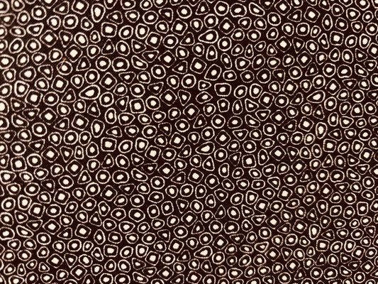 QUILTERS COMBINATION  fondo negro circulos blanco