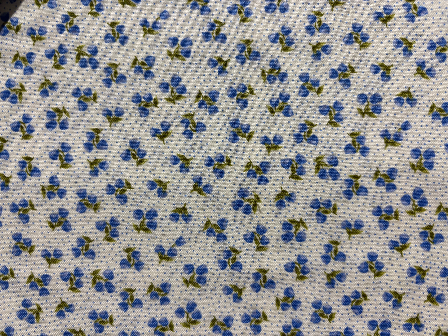 PASCALETBEATRIX fondo blanco con lunares azul y flores azules