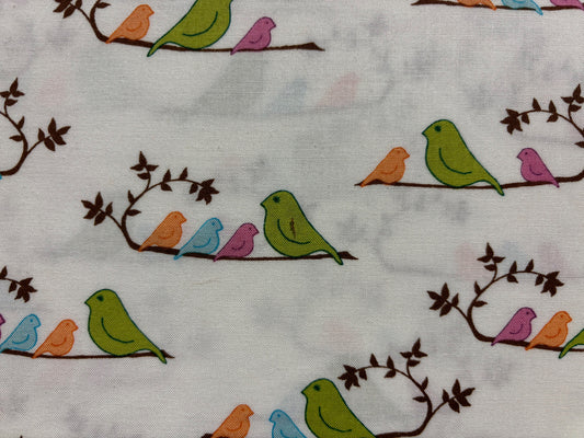 WRENLY BY YALORI WELLS  fondo blanco pajaros colores