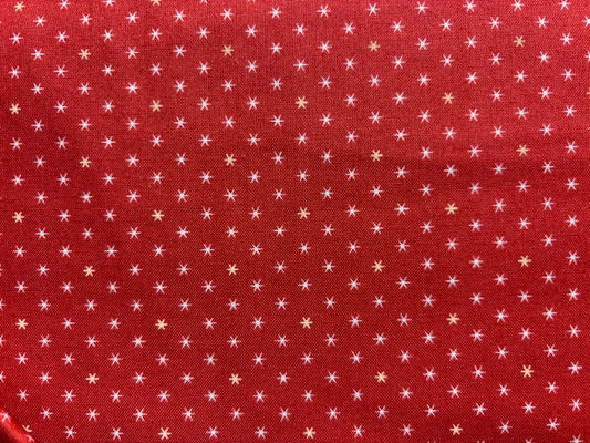 100 YEARS  fondo granate estrellas muy pequeñas
