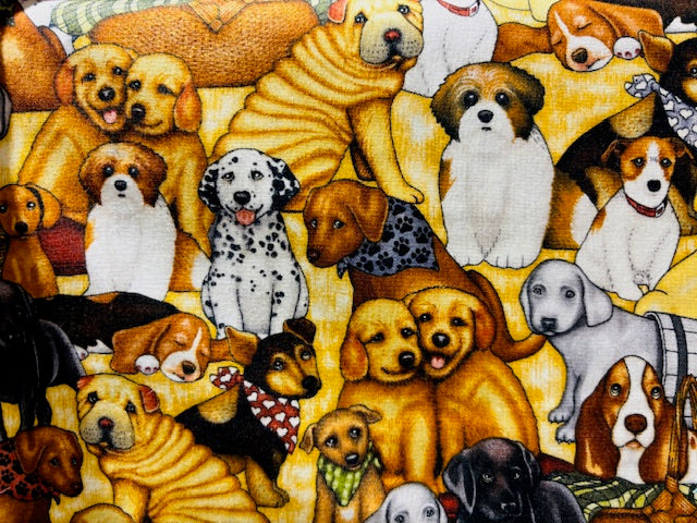 DAN MORRIS, PERROS