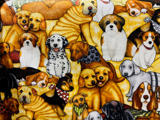 DAN MORRIS, PERROS