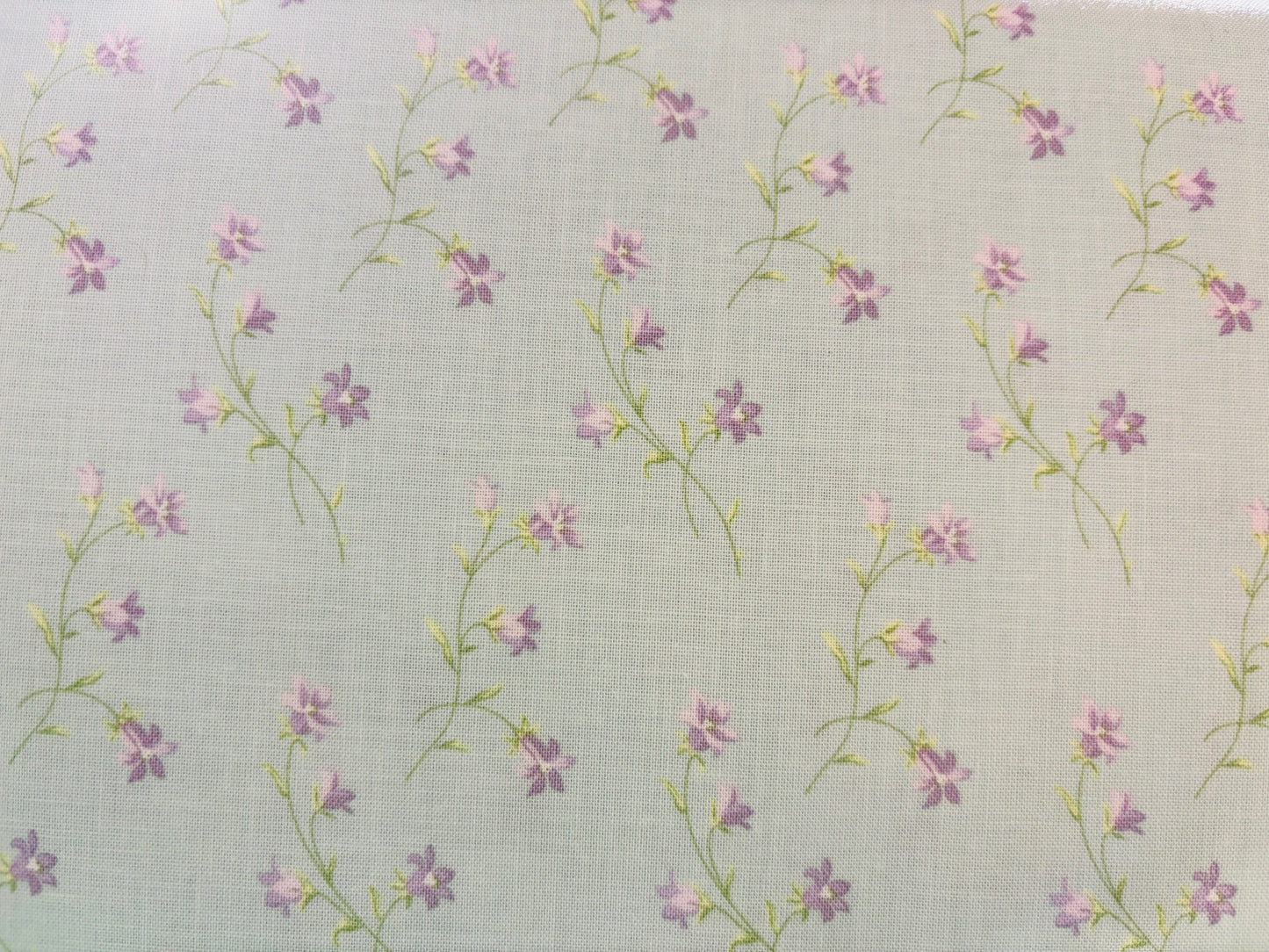 ROSLYN BY WHISTLER STUDIOS fondo azul bebe con flores lila